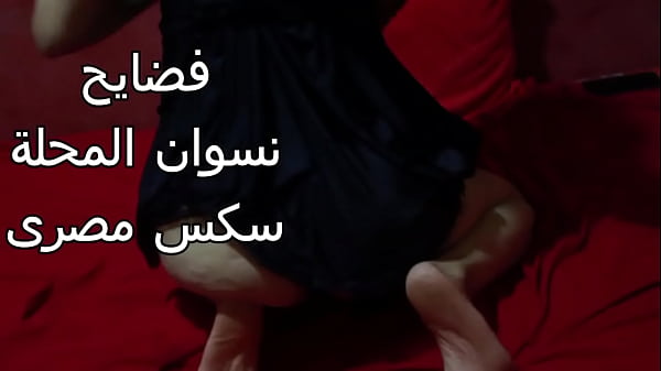 سكس عربي، شرموطة مصرية طيزها نار، عايزة تتناك بقوة