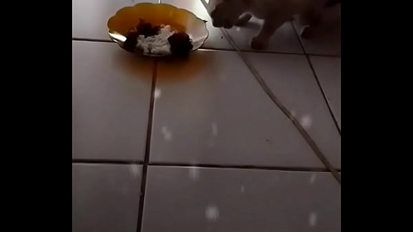 Anita Lagi Ngangkang, Pengen Digojlok